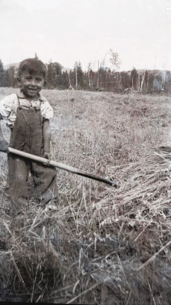 Brian with pitchfork in oat field - 1955