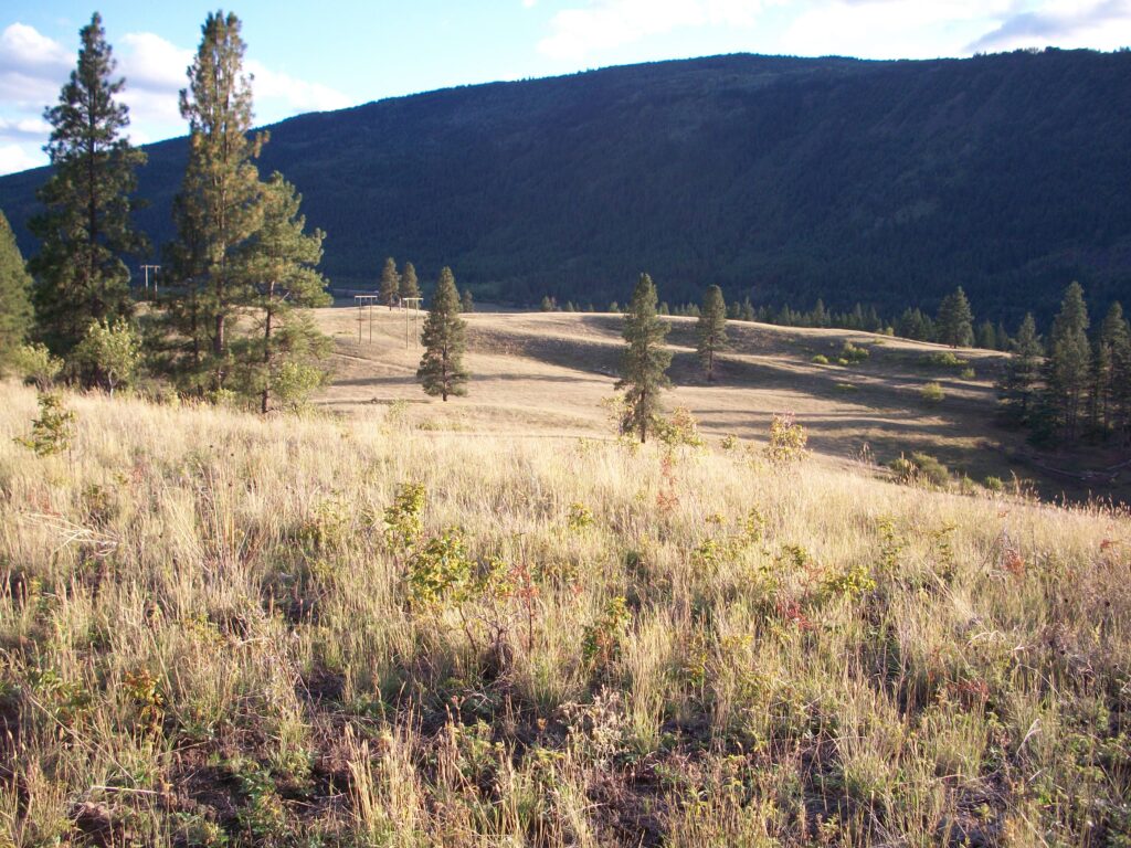 Late afternoon shadows on the Range